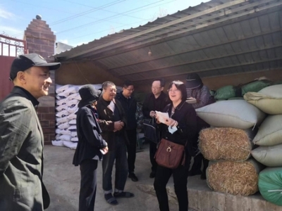全國畜牧總站深入尋甸開展調研，共繪現代畜牧業與飼料銷售新藍圖